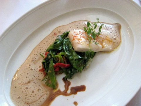 The Halibut