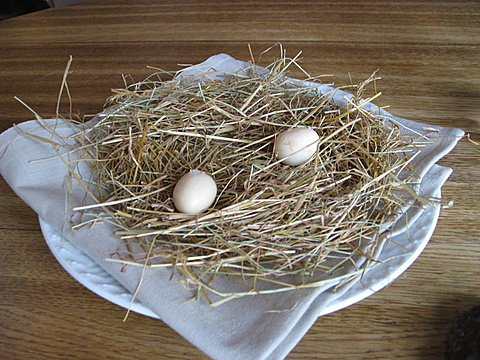 The Quail’s egg