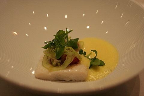 Halibut