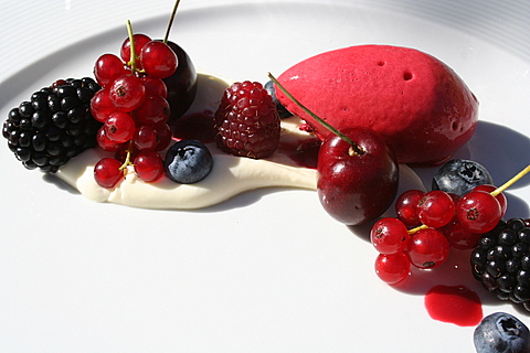 White Chocolate and Fresh Berries