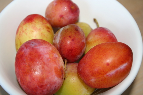 Year’s first harvest - Yum!