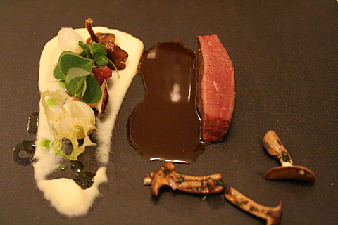 Second main course - game duck