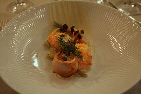 Scallops and langoustines