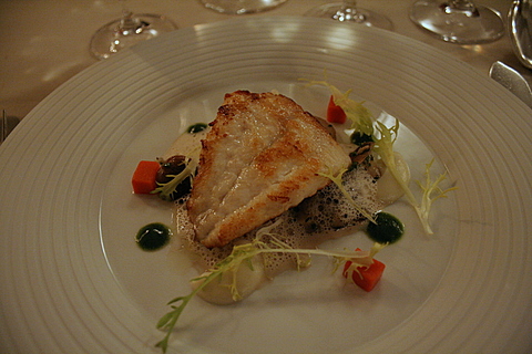 Turbot