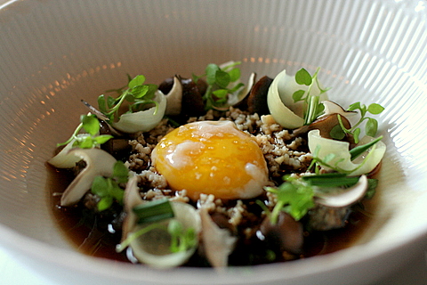 Birch wine bouillon, poached egg and mushrooms