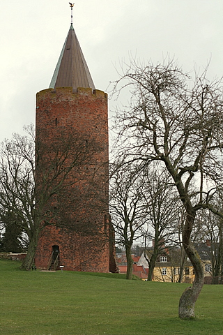The Goose Tower