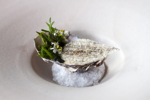 Oyster, beach plants, fish skin and fermented cabbage