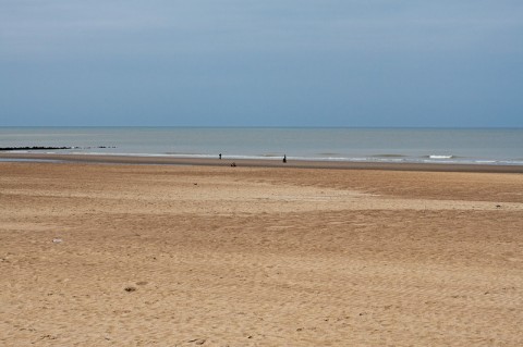 IMG_5329 IMG_5329