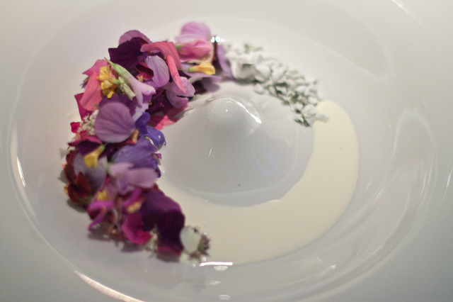 Dessert, Geranium