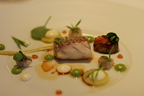 Sea bass with smoked and caramelized eel, verbena-miso ninaigrette