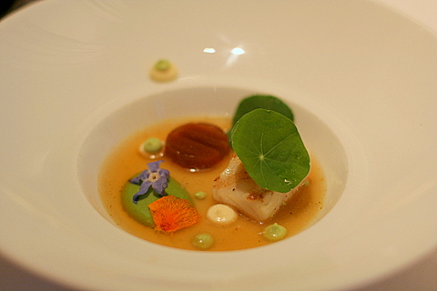 Turbot with cream of green peas, fish stock, aioli and churros