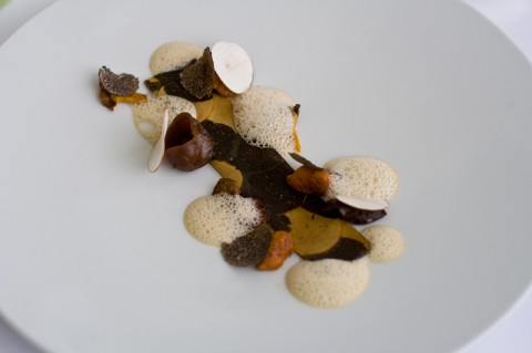 Mushrooms and truffles